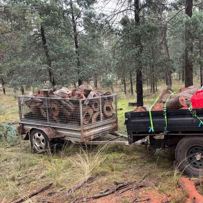 Modern Trailers Cage
